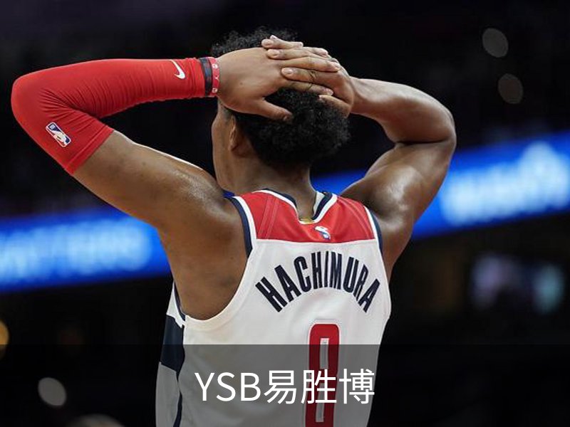 YSB易胜博简介